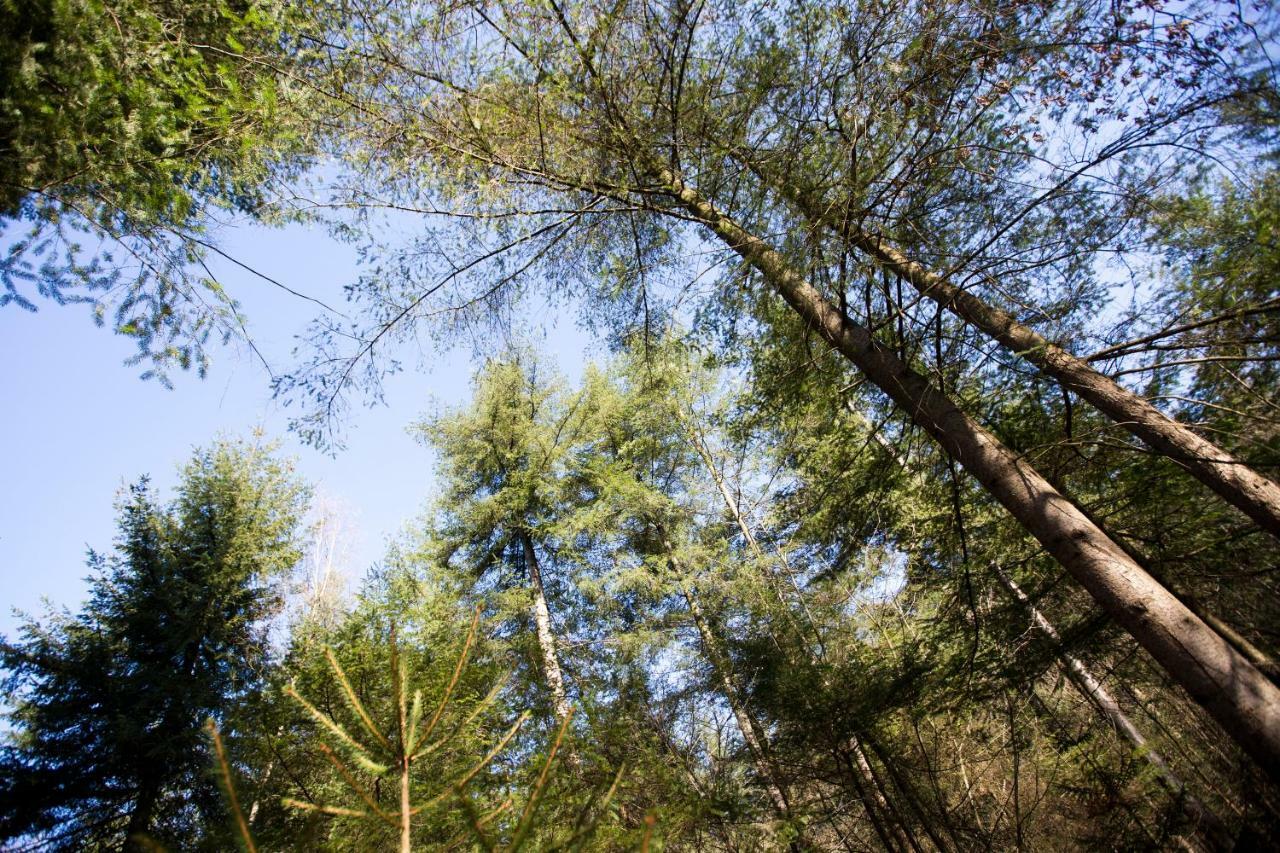 Bok'S Bungalowpark Garderen Dış mekan fotoğraf